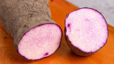 Khoai Mỡ